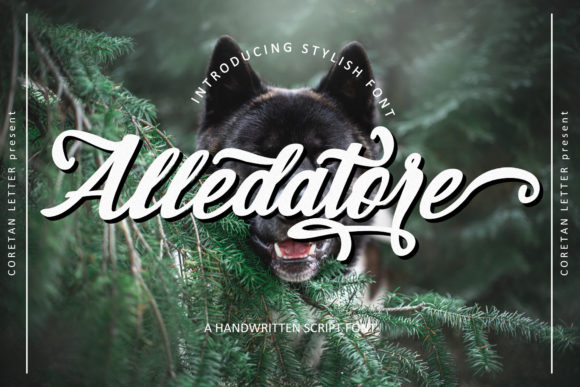 Alledatore Font for Editorial Elegance