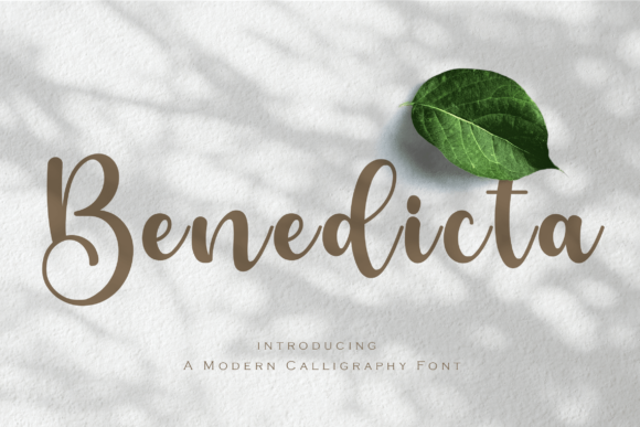 Benedicta: The Refined Script Font for Sophisticated Editorial Design