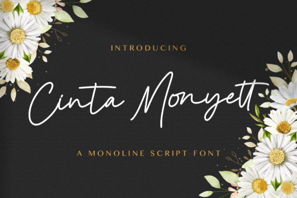 Cinta Monyett Font: A Playful Script for Small Business Branding