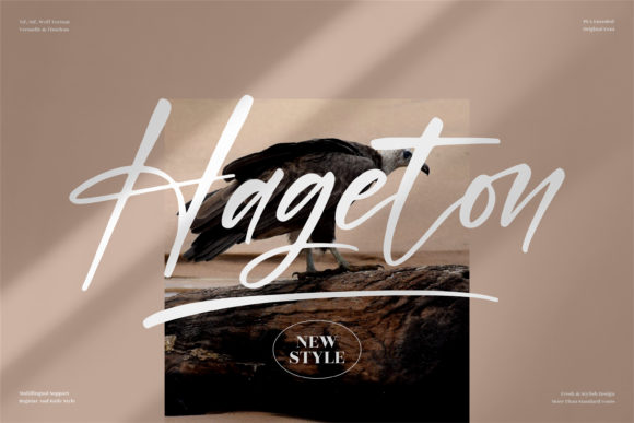 Hageton Typeface for Elegant Brand Identity Projects