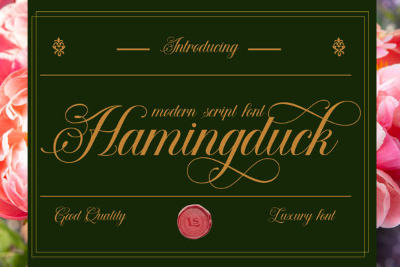 Hamingduck: The Elegant Script Typeface for Modern Brand Identity