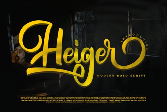 Heiger: A Magical Script Font for Designers