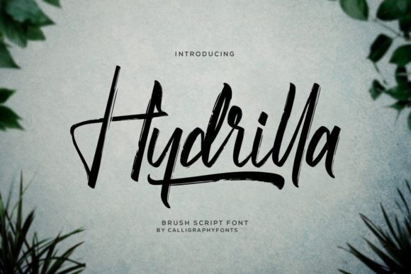 Hydrilla Font: A Script for Elegance in Branding