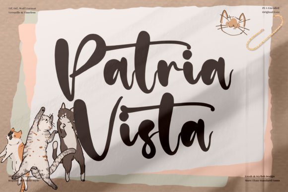 Patria Vista: A Script Font That Elevates Brand Campaigns